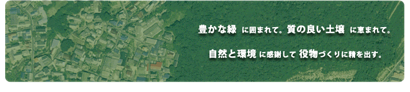 豊かな緑に囲まれて